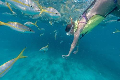 Key West Florida Reef Half-Day Snorkeling Excursion