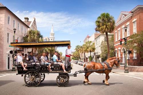 Charleston’s Old South Carriage Historic Horse & Carriage Tour