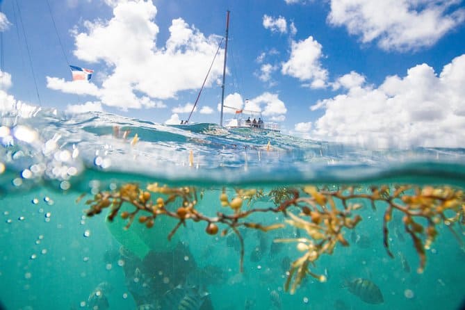 happy fish catamarans - Punta Cana Small-Group Sailing and Snorkeling Catamaran Tour